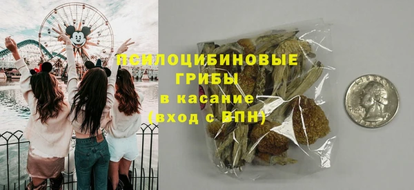 apvp Белокуриха