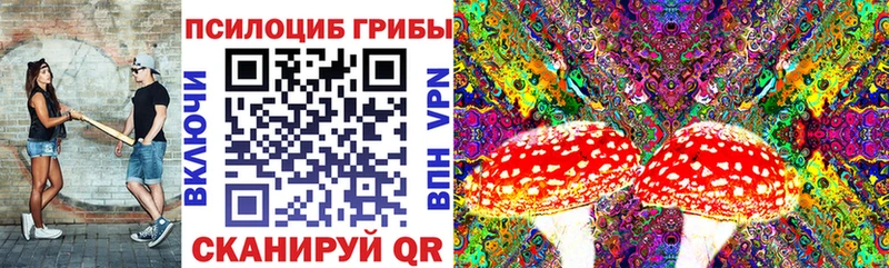 Псилоцибиновые грибы Magic Shrooms  Купить  Нижневартовск 